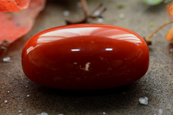 Red Coral Gemstone: Buying Guide and Essential Care Tips